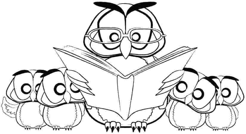 825x450 Cute Owl Coloring Pages Owl Color Sheet Owl Printable Coloring