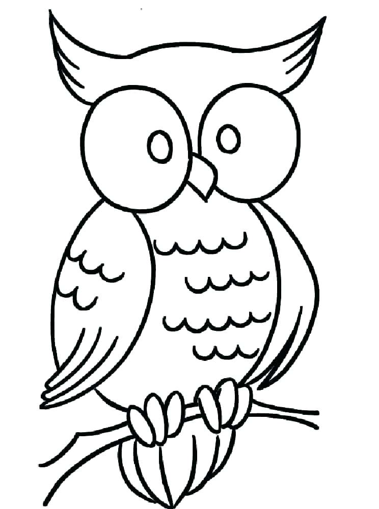 744x1000 Cute Owl Coloring Pages To Print Owl Printable Coloring Pages Cute