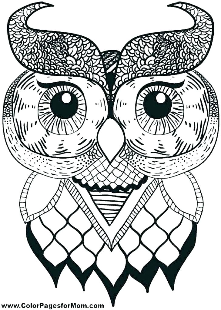 729x1024 Free Printable Cute Owl Coloring Pages Coloring Page Of An Owl