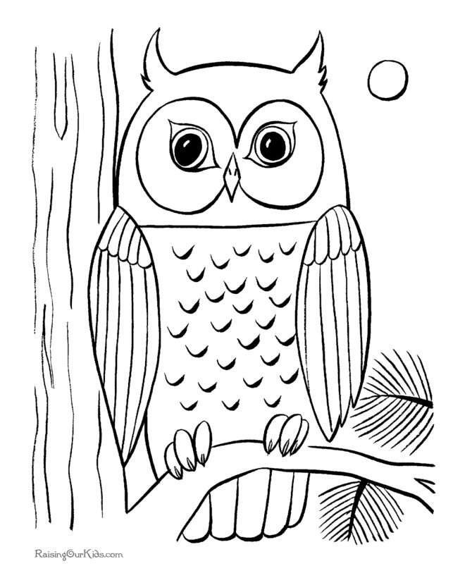 670x820 Burrowing Owl Clipart Printable Coloring Page