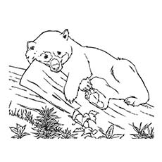 230x230 Top Free Printable Cute Panda Bear Coloring Pages Online