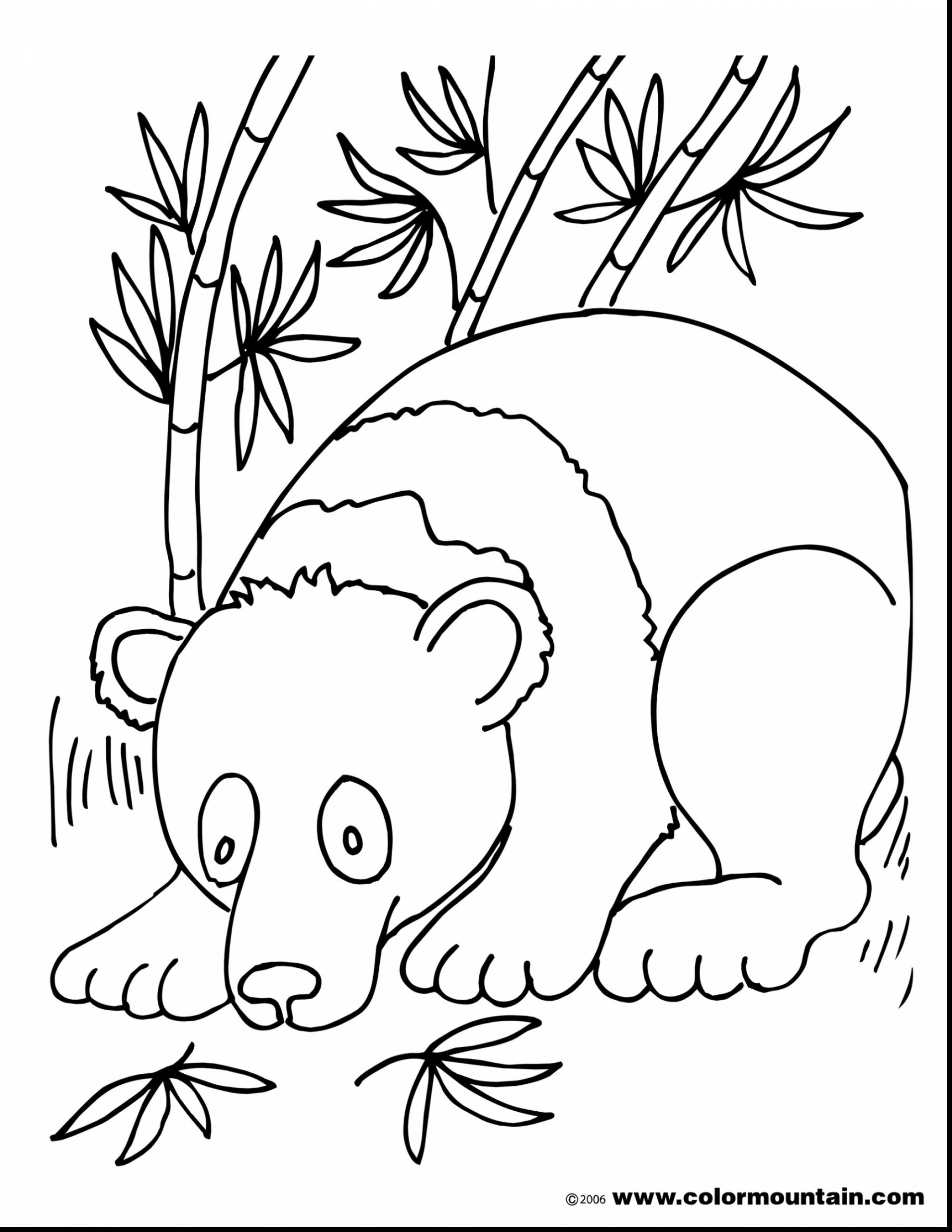 1980x2561 Coloring Pages Of Panda Bears Best Of Panda Bear Coloring Page