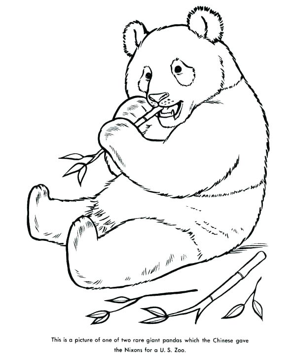 Cute Panda Coloring Pages at GetDrawings | Free download