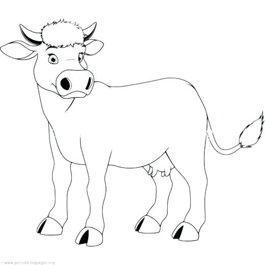 520x520 Cute Panda Coloring Pages Lawman Site