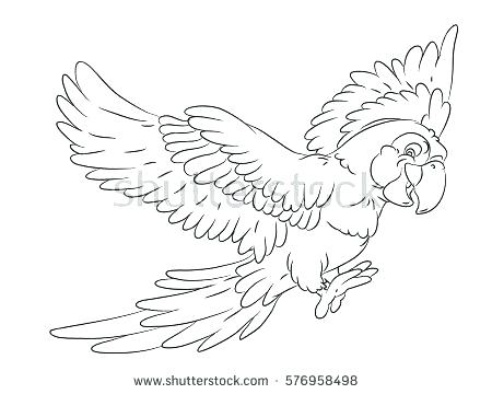 450x360 Cute Parrot Coloring Pages Bird Online Free Page