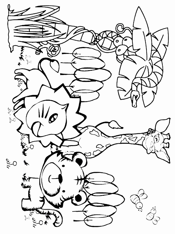 584x777 Cute Parrot Coloring Pages Images Coloring Pages Of Jungle Animals
