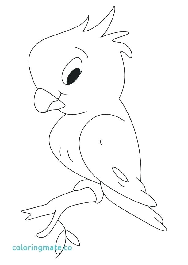 613x860 Parrot Coloring Page Coloring Pages Of Parrots Big Parrot Coloring