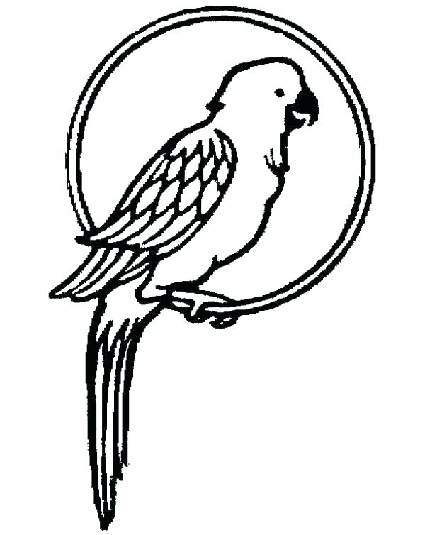 600x754 Parrot Coloring Page Coloring Pages Parrots Coloring Pages