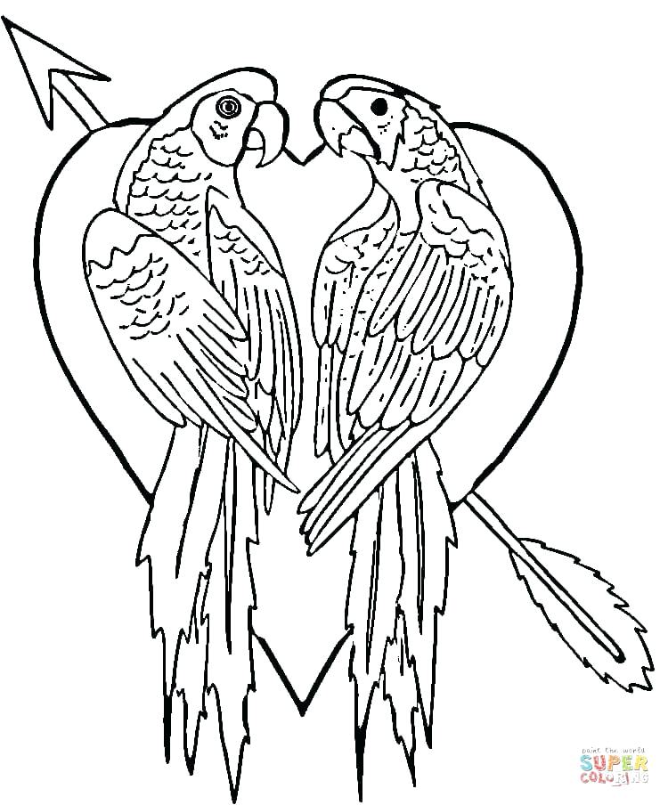 750x904 Parrot Coloring Pages Coloring Pages Parrot Animals Free Printable