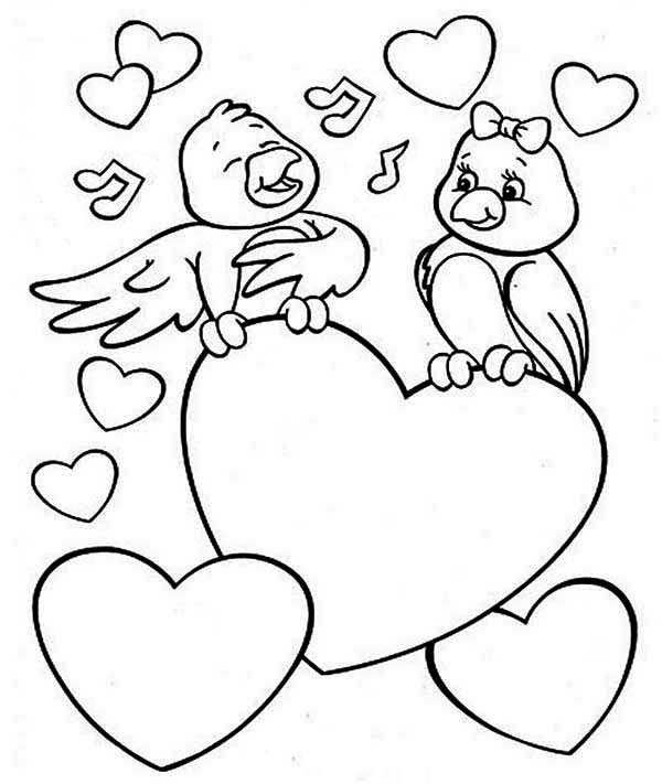 600x711 Parrot Coloring Pages Printable