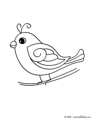 364x470 Parrot Picture Coloring Pages
