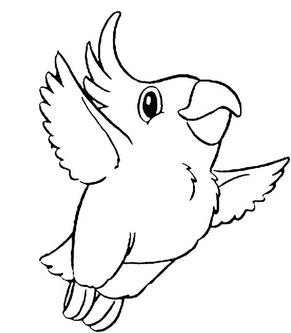 600x686 Parrots Coloring Pages Parrot Coloring Pages Parrot Coloring Pages