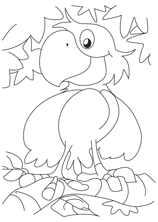 613x860 A Cute Happy Parrot Coloring Page Download Free A Cute Happy