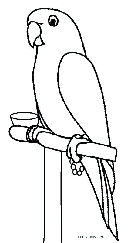 432x800 Coloring Pages Parrot Coloring Pages Of Parrots Parrot Picture