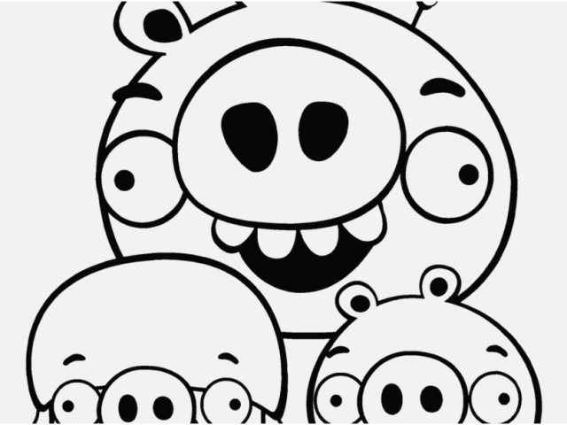 640x480 Guinea Pig Coloring Pages View Cute Pig Coloring Pages For Kids