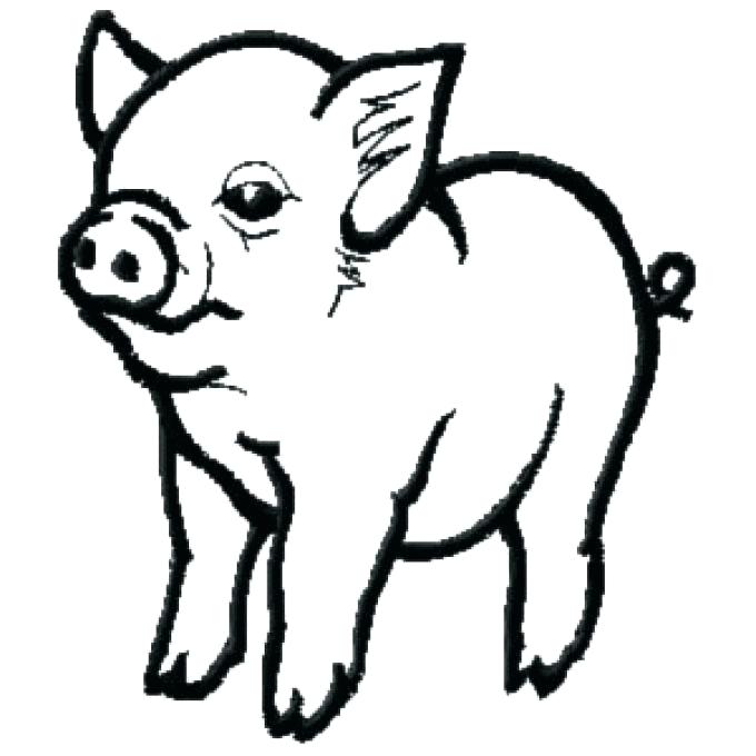 680x680 Pig Coloring Pictures Baby Pig Coloring Pages Cute Baby Pig