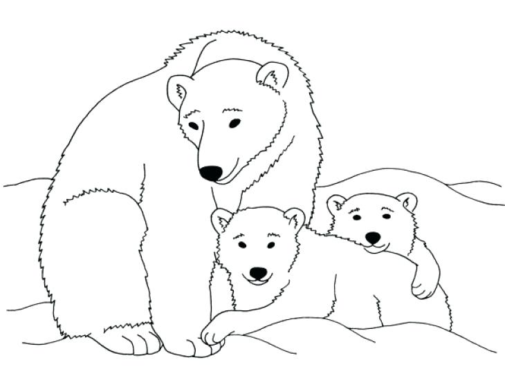 730x563 Polar Bear Coloring Page Polar Bear Coloring Pages Printable Cute