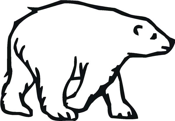 600x415 Polar Bear Coloring Pages Coloring Pages Draw A Polar Bear Cute