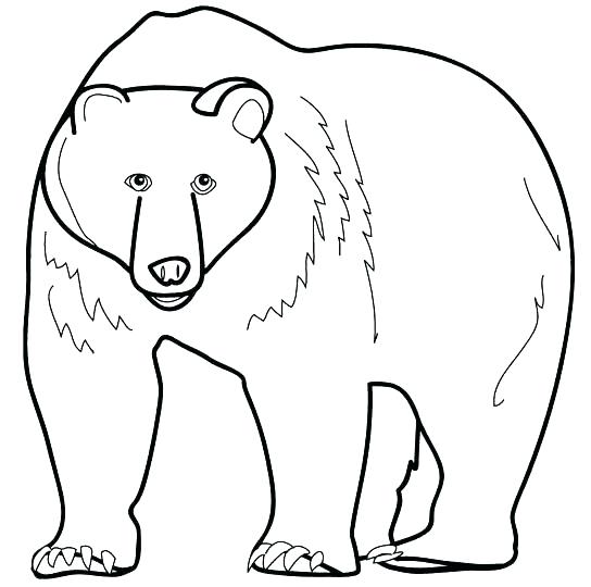 544x540 Polar Bear Coloring Pages Last Updated Realistic Polar Bear