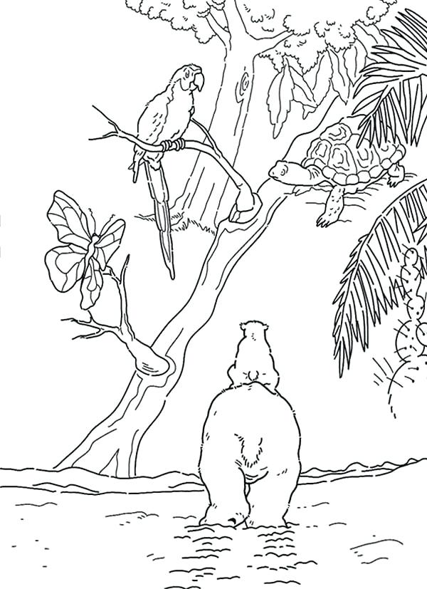 600x827 Polar Bears Coloring Pages