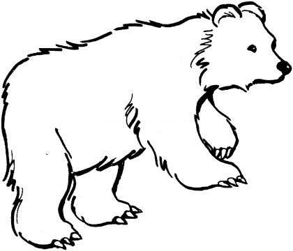 420x360 Cute Polar Bear Coloring Pages Coloring Pictures Panda Bears