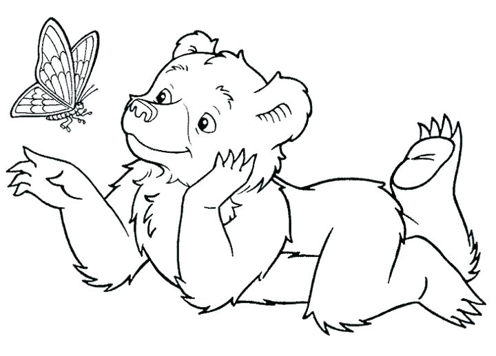 720x517 Polar Bear Color Page