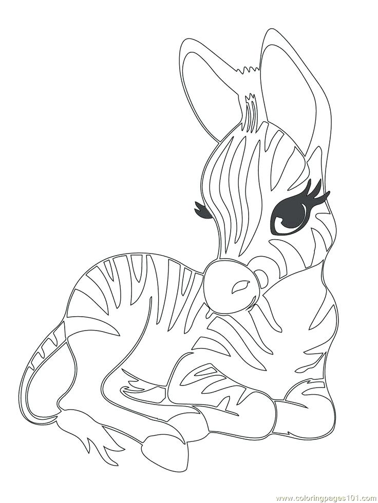 736x980 Printable Baby Animal Coloring Pages