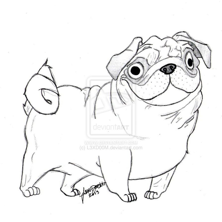 894x894 Pug Coloring Pages Cute Pug Coloring Page