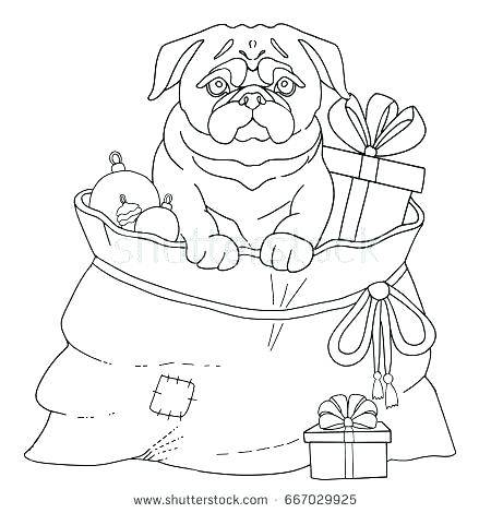 450x470 Pug Coloring Pages Kids Coloring Get The Coloring Page Pug Pug