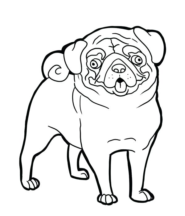 600x700 Pug Coloring Pages Pug Funny Face Coloring Page Cute Pug Coloring