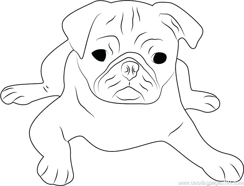 800x612 Colouring Pages Of Dog Face Pug Coloring Pages Pug Coloring Pages