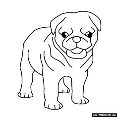236x236 Cute Printable Pug Coloring Page