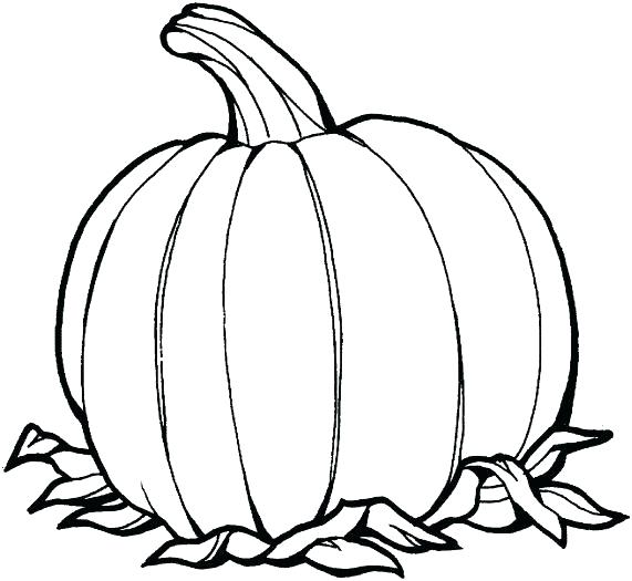 571x525 Pumpkin Coloring Pages Pictures This Is Best Pumpkin Free Coloring
