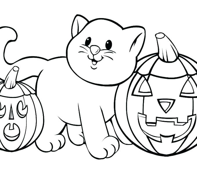 678x600 Cat And Pumpkin Coloring Page