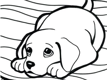 440x330 Puppy Coloring Sheets Yellow Lab Coloring Pages Yellow Lab Puppy