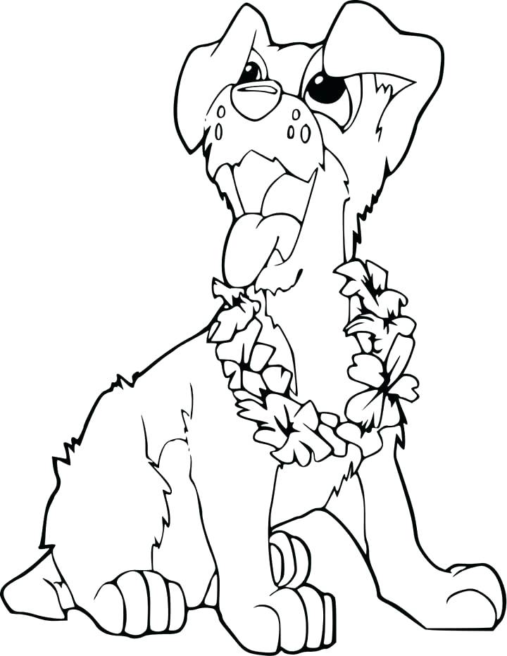 720x932 Hula Girl Coloring Plus Coloring Pages Free Hawaiian Coloring
