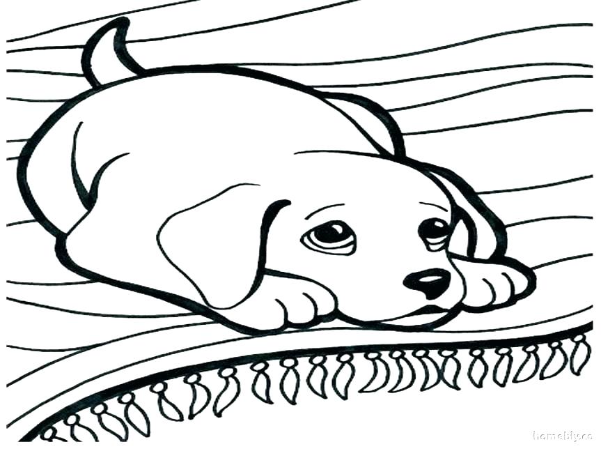 863x647 Puppy Coloring Pictures Coloring Page Coloring Page Coloring Page