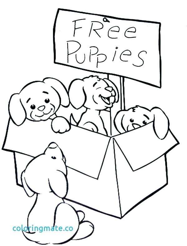 600x786 Puppy Pictures To Color Puppies Coloring Pages Cute Dogs Coloring