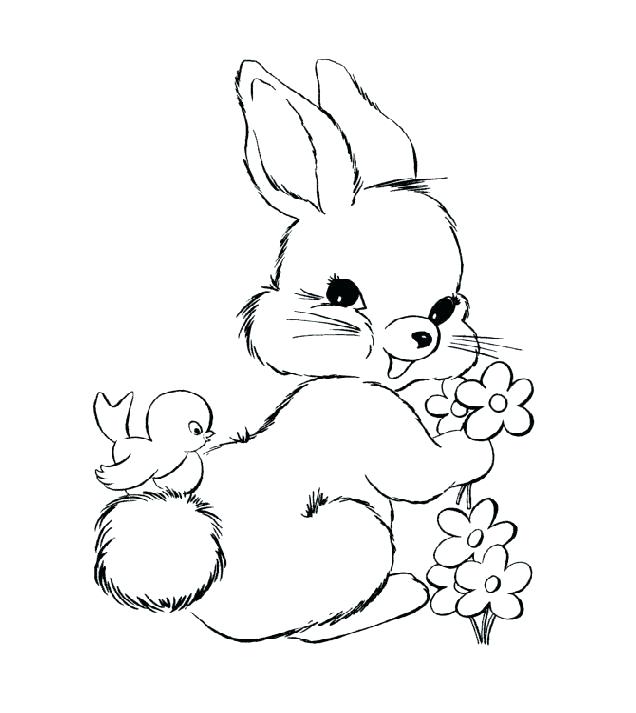 636x713 Coloring Pages Of Cute Bunnies Bunnies Coloring Pages Bunnies