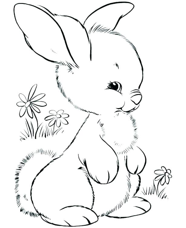 615x753 Bunnies Coloring Pages Sharing A Carrot Happy Valentine Roger