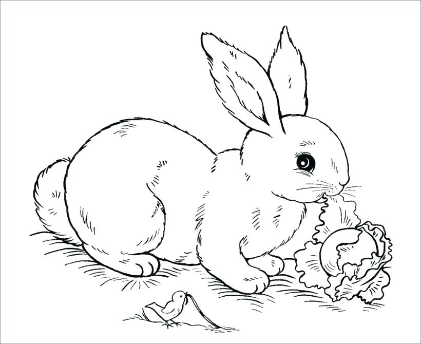 820x670 Bunny Coloring Page Free Bunny Coloring Pages More Images