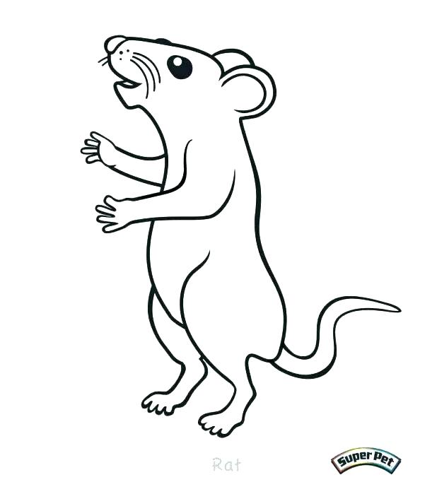 618x699 Rat Coloring Page Rat Colouring Page Rat Coloring Pages