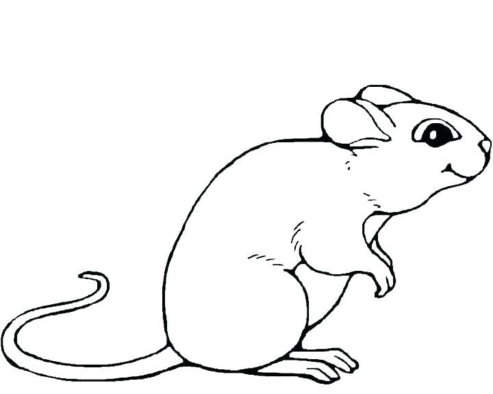 720x576 Rat Coloring Pages Coloring Mouse Little Mouse And Rat Coloring
