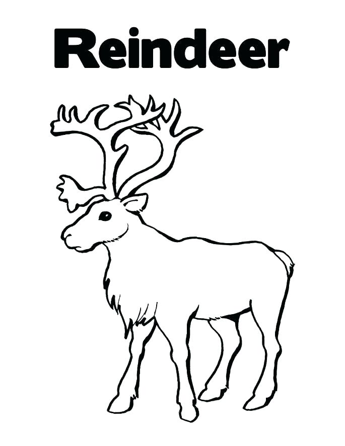 685x886 Reindeer Coloring Sheets Reindeer Coloring Pages Reindeer