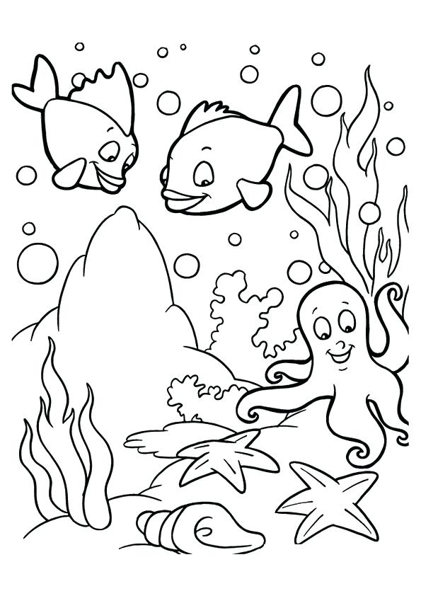 Cute Sea Animal Coloring Pages at GetDrawings | Free download