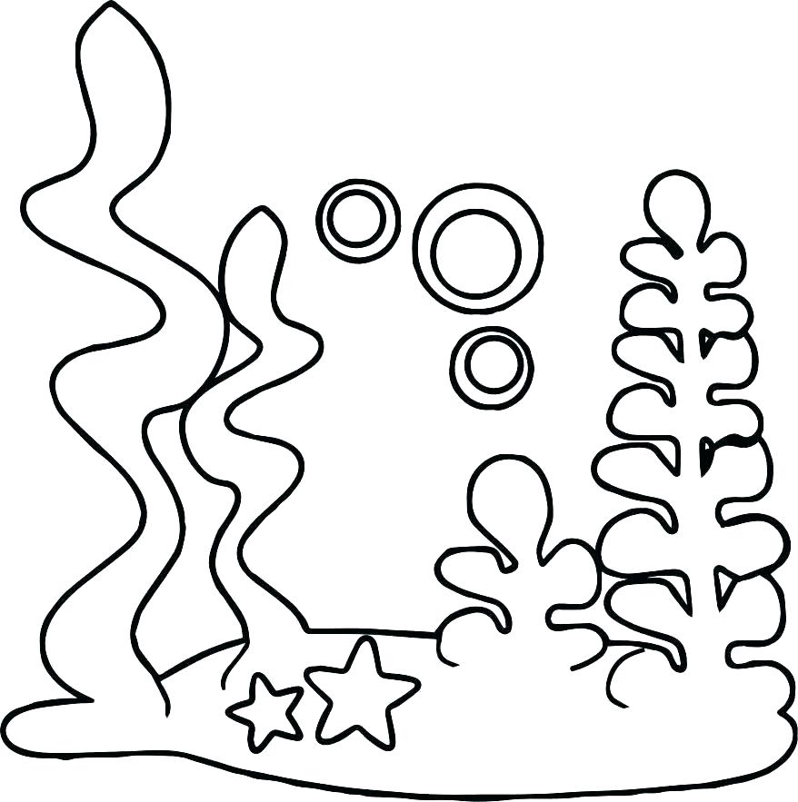 878x883 Underwater Coloring Page