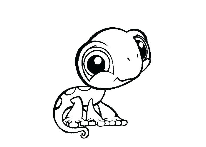 700x500 Cute Turtle Coloring Pages Cartoon Cute Turtle Coloring Page