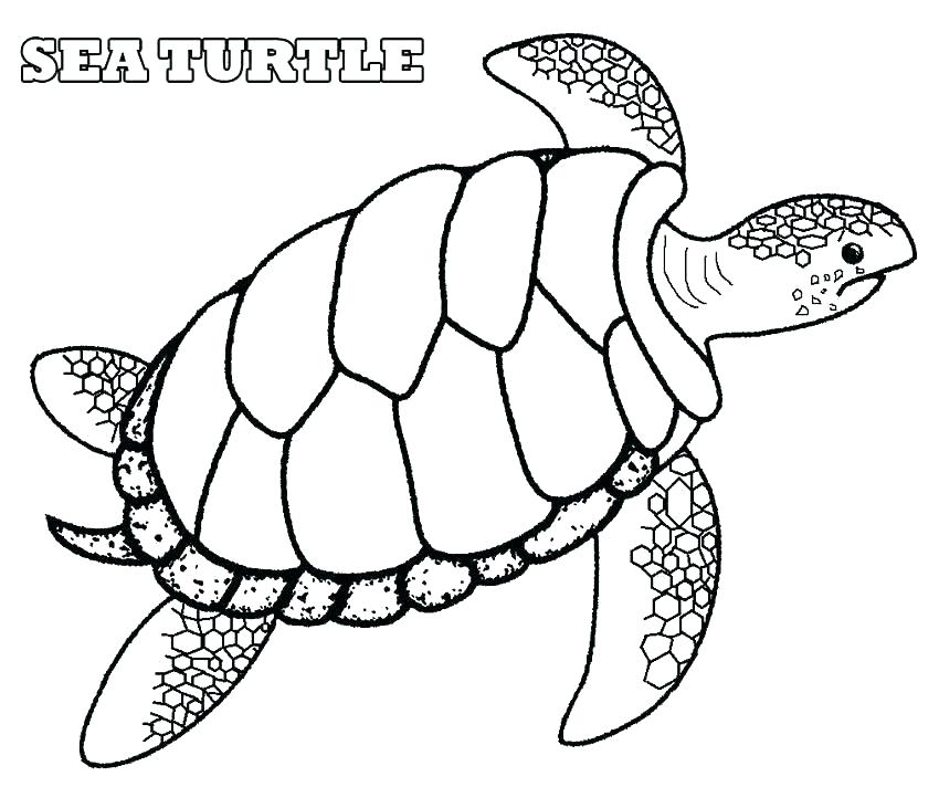850x731 Printable Sea Turtle Coloring Page Coloring Me Cute Sea Turtle