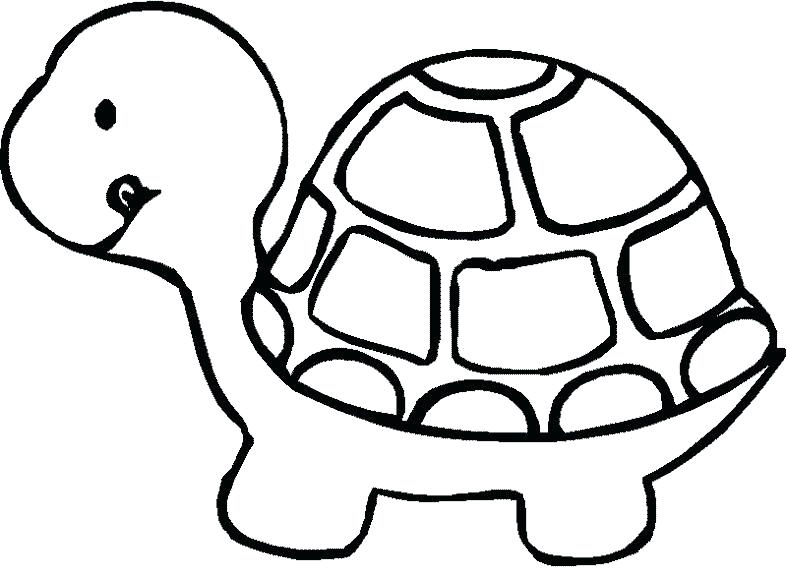 787x579 Sea Turtle Coloring Page Also Turtle For Coloring Cute Turtle