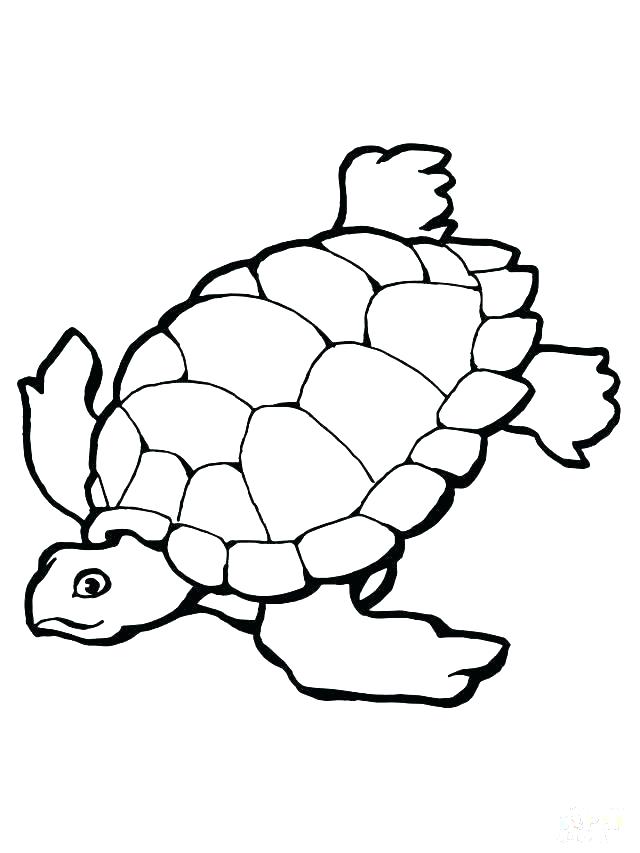 640x853 Sea Turtle Coloring Pages To Print Free Printable Sea Turtle Adult